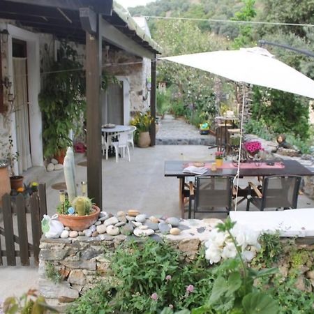 Kondokinigi Olga'S Traditional Stone House, Palaiochora מראה חיצוני תמונה