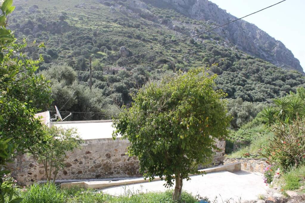 Kondokinigi Olga'S Traditional Stone House, Palaiochora מראה חיצוני תמונה