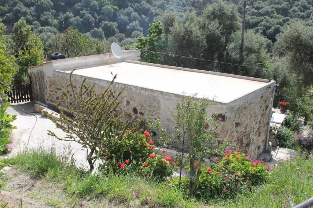 Kondokinigi Olga'S Traditional Stone House, Palaiochora מראה חיצוני תמונה