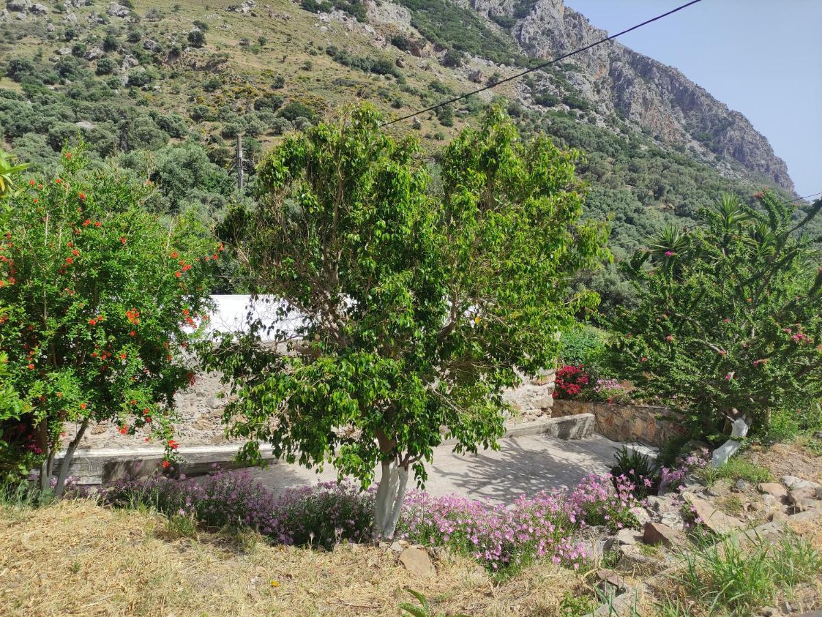 Kondokinigi Olga'S Traditional Stone House, Palaiochora מראה חיצוני תמונה